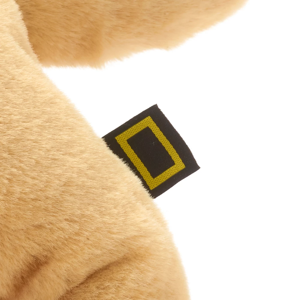 National Geographic Peluche Moyenne Lionceau 5 National Geographic Peluche Moyenne Lionceau – Image 5
