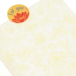 Disney Store Coffret De Pâtisserie à Offrir La Princesse Et La Grenouille 10 Disney Store Coffret De Pâtisserie à Offrir La Princesse Et La Grenouille -Disney 465013382831 4