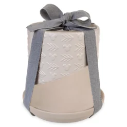 Disneyland Pot De Fleur Mickey Mouse Homestead 7 Disneyland Pot De Fleur Mickey Mouse Homestead -Disney 465043672339 3