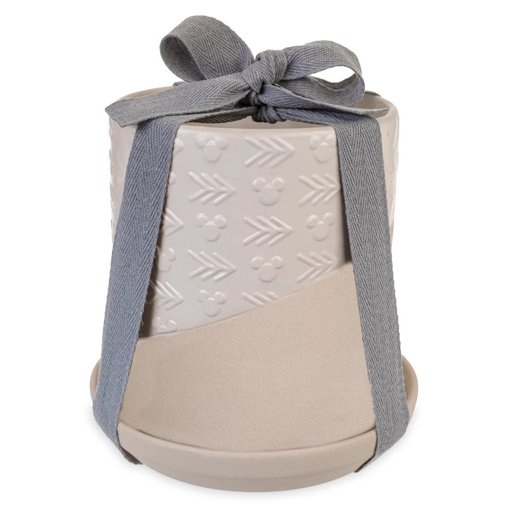 Disneyland Pot De Fleur Mickey Mouse Homestead 4 Disneyland Pot De Fleur Mickey Mouse Homestead – Image 4