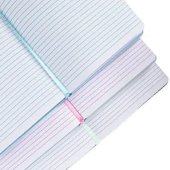 Lot De 3 journaux Walt Disney's Disneyland, Disney100 Eras 10 Lot De 3 journaux Walt Disney's Disneyland, Disney100 Eras -Disney 466043802443 4